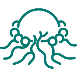 Cyst & Tumours of Jaws